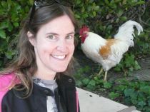 Lora with rooster
